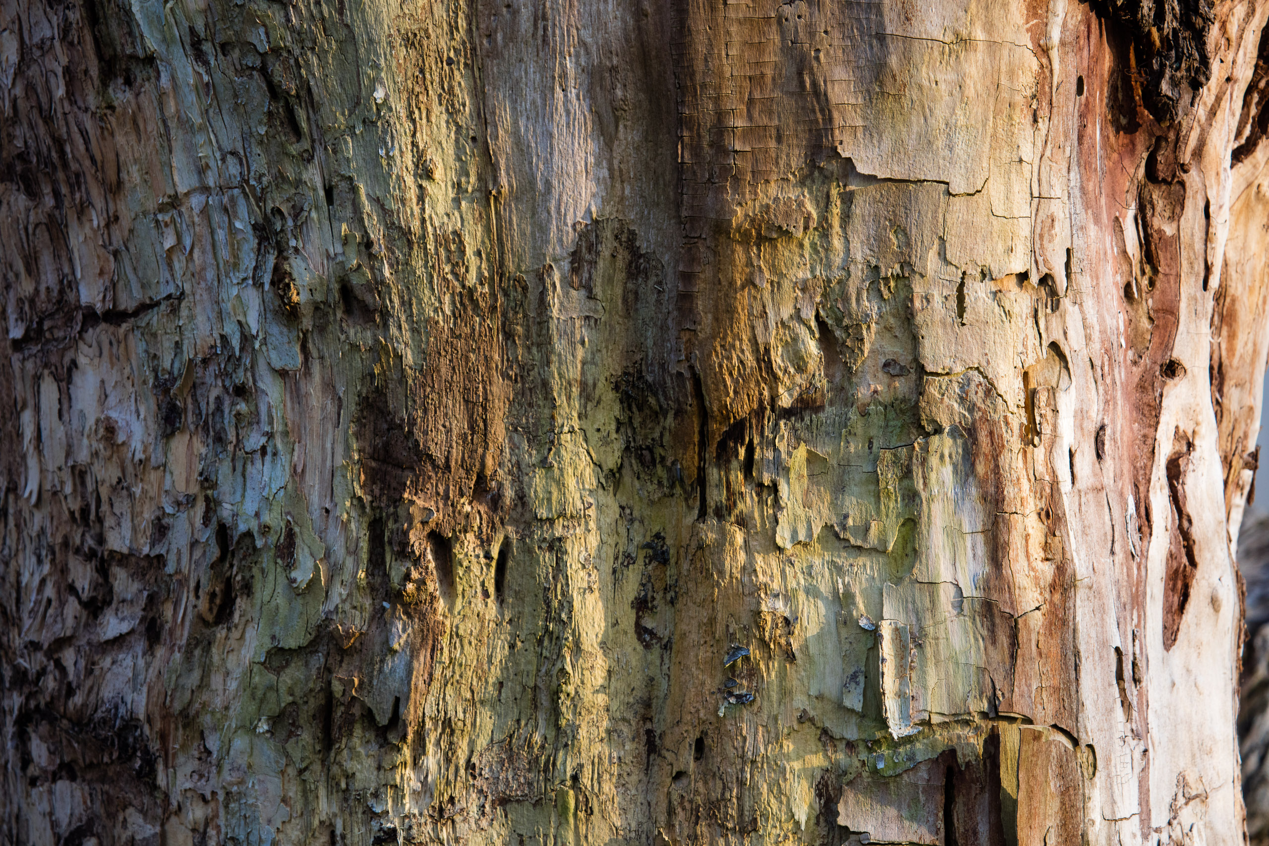 20160319173843 DP017822